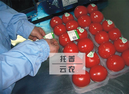 新疆特色林果產(chǎn)品質(zhì)量安全監(jiān)管平臺(tái)